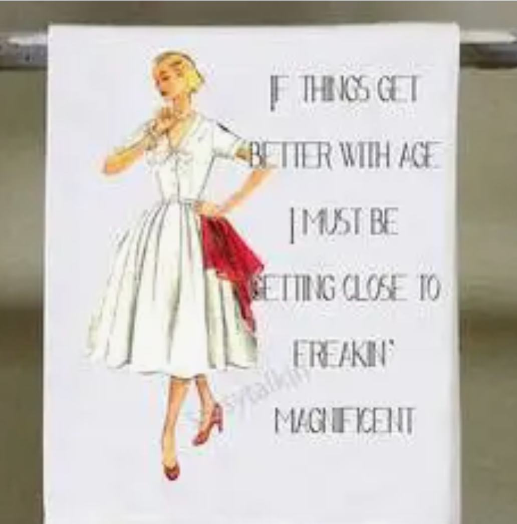 Funny Dishtowels (Various Sayings)