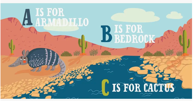 D is for Desert Book