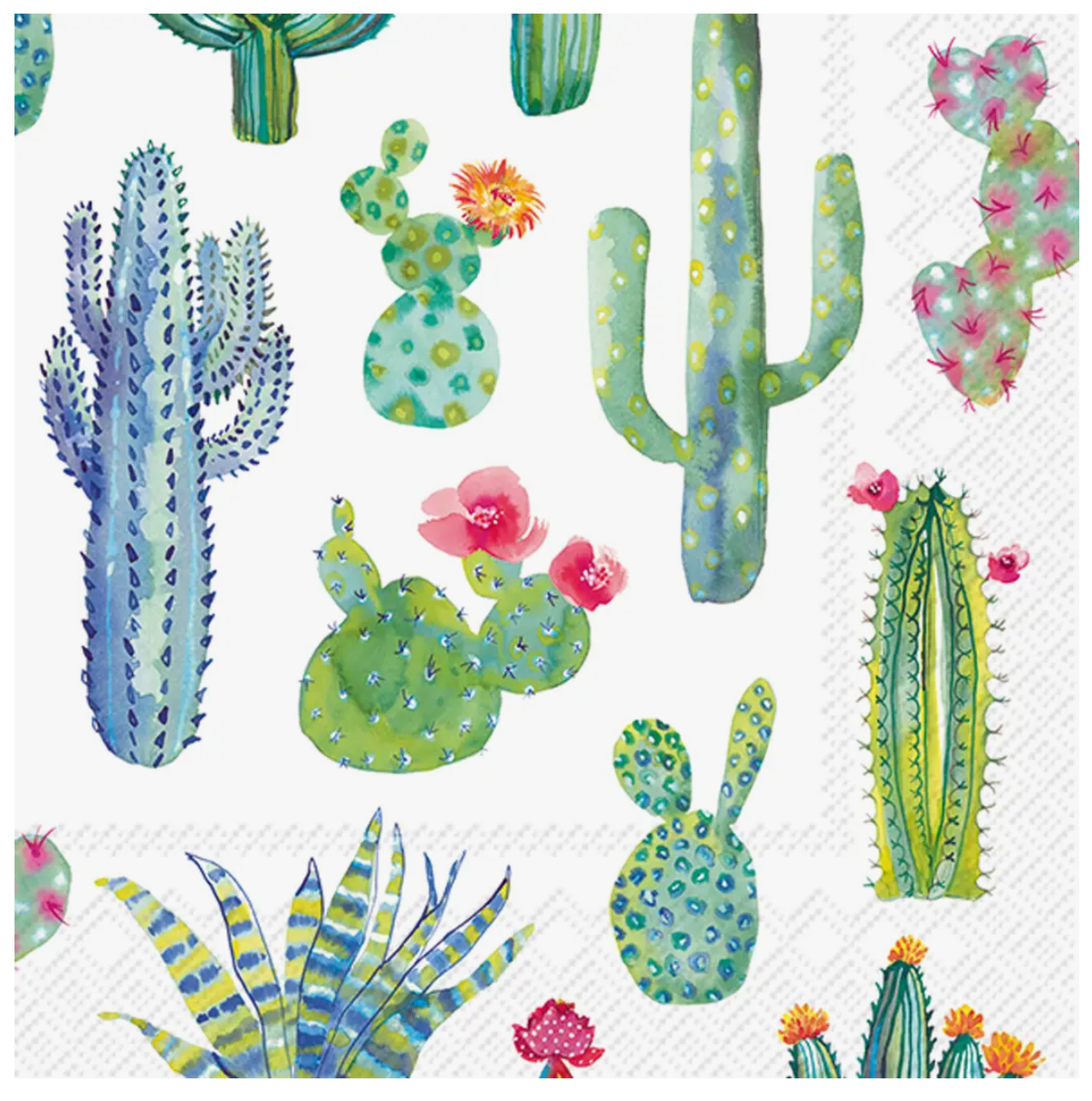 Assorted Cocktail Napkins