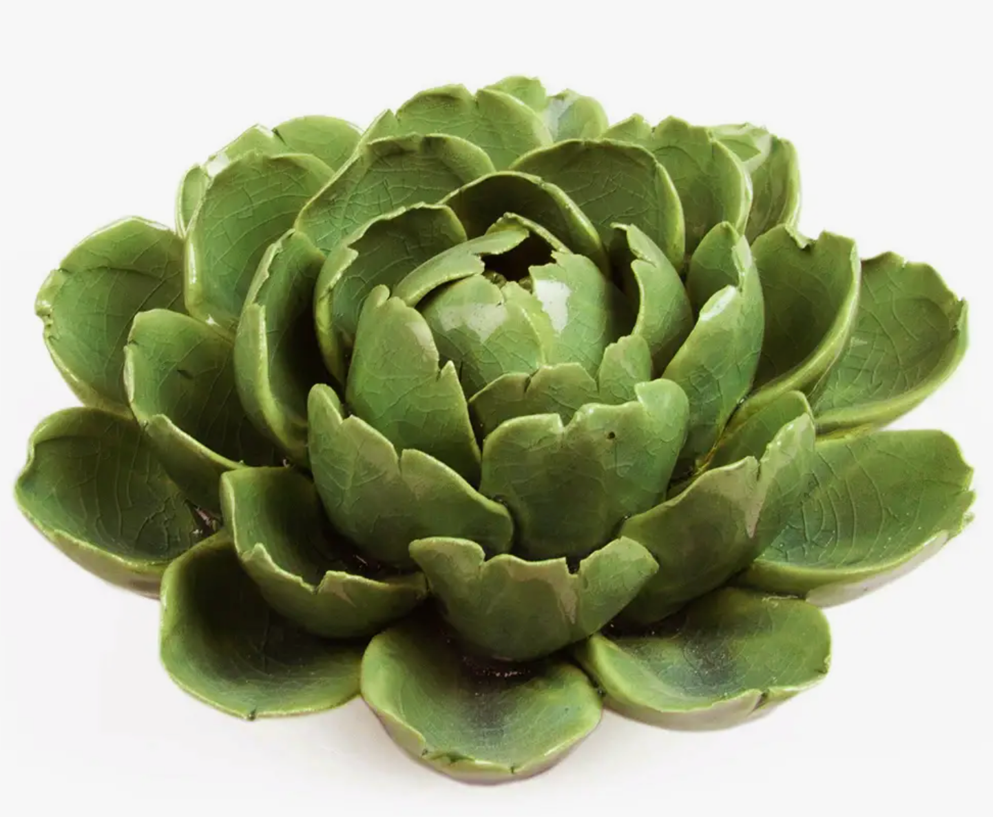 Large Ceramic Succulent