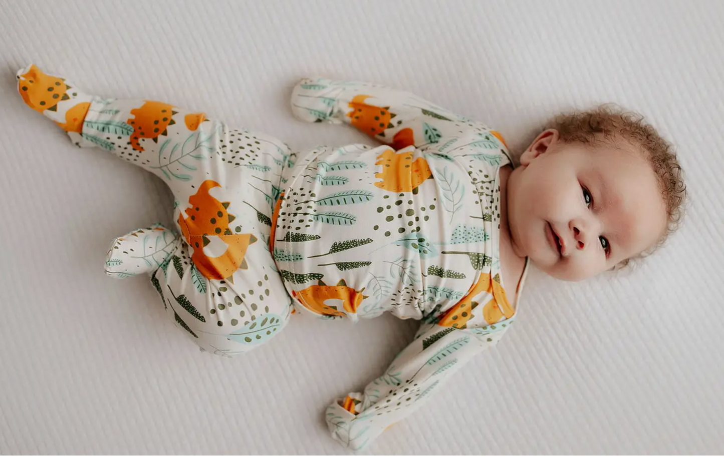 Dinosaur Jammies