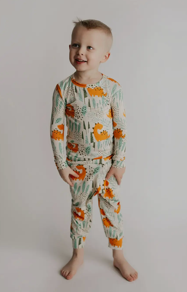 Dinosaur Jammies
