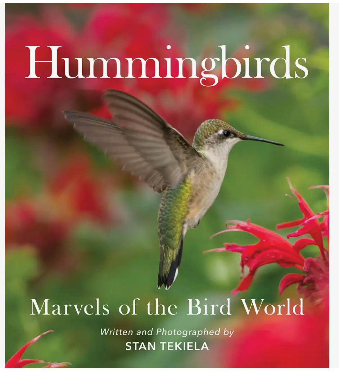 Hummingbirds: Marvels of the Bird World Book